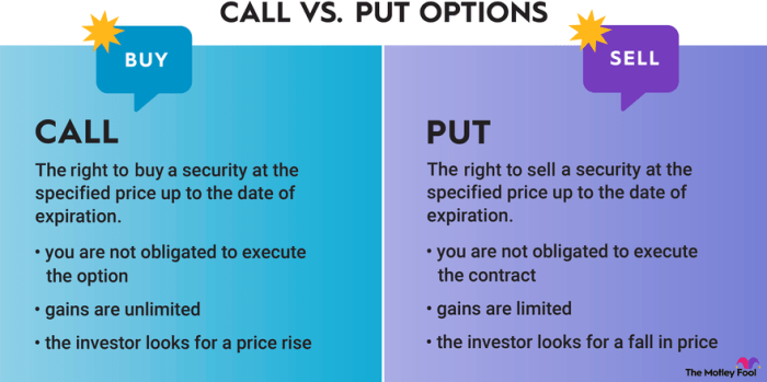 Put call options trading basic