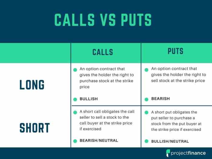 Option basics ino